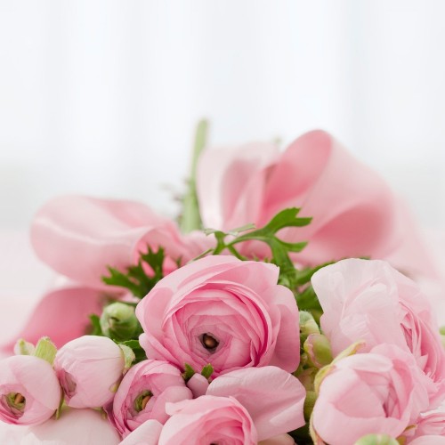 Underwear & Sleepwear